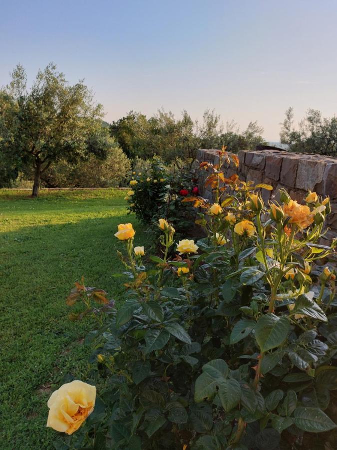 Apartment Kortine Sečovlje Zewnętrze zdjęcie